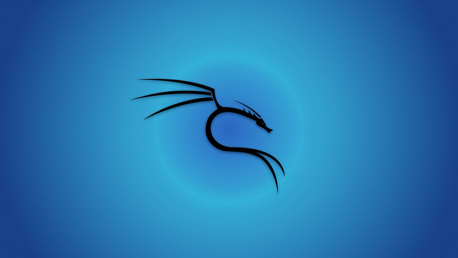 Kali Linux Faylın ötürülmsəi