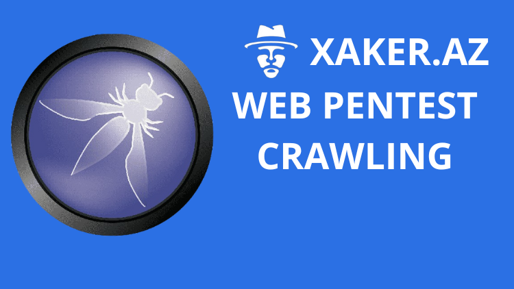 Web pentest qovluq və faylların təyin edilməsi