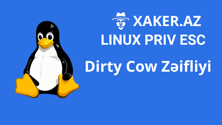 Dirty Cow Zəifliyi ilə Linux Privilege Escalartion