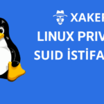 SUID İSTİFADƏSİ
